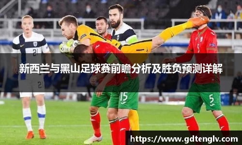 新西兰与黑山足球赛前瞻分析及胜负预测详解